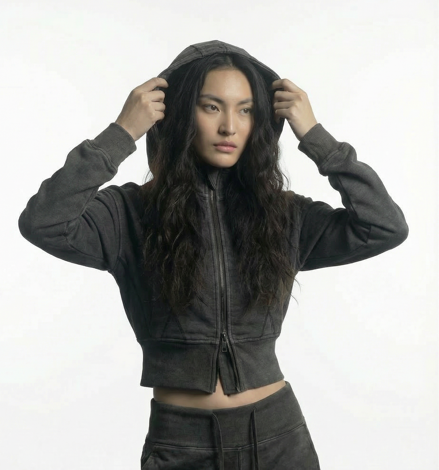 Smoked Crop Hoodie